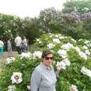 ���������� ����, ���� ������� �������, 41 ���, ������������ ��� ����� � ���������, c�������� ���������