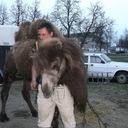 ���������� ������, ���� ������� �����, 42 ����, ������������ ��� ������