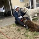 ���������� �����-���������, ���� ����� ������, 23 ����, ������������ ��� ������, ����� � ���������, c�������� ���������