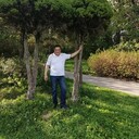 ���������� �������, ���� ������� �������, 47 ���, ������������ ��� ����� � ���������, c�������� ���������