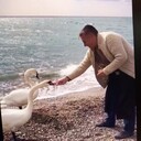  ,   , 56 ,  