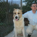 ,   Alex, 51 ,     , c 