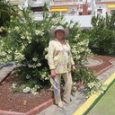  ,   , 77 ,  