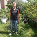 ���������� ����, ���� ������� ��������, 35 ���, ������������ ��� ������, ����� � ���������, c�������� ���������