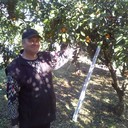  ,   , 60 ,   ,   , c , 