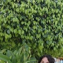 ���������� ������, ���� ������� �����, 50 ���, ������������ ��� ������, ����� � ���������, c�������� ���������