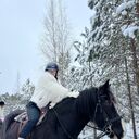 ���������� �����, ���� ������� �������, 45 ���, ������������ ��� ������, ����� � ���������