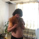  ,   , 40 ,   ,   