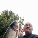 ���������� �������, ���� ������� �������, 45 ���, ������������ ��� ������, ����� � ���������, c�������� ���������