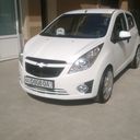 ���������� �������, ���� ������� Sardor, 33 ����, ������������ ��� ������