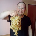 ���������� ����, ���� ������� ����, 46 ���, ������������ ��� ����� � ���������, c�������� ���������