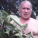  ,   Gurami, 59 ,     , c 