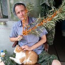 ���������� ���������, ���� ������� �������, 41 ���, ������������ ��� ������, ����� � ���������