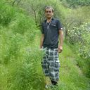 ���������� �������, ���� ������� Navruz, 40 ���, ������������ 