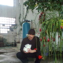  Plzen,   , 51 ,   ,   , c 