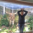  ,   , 56 ,   ,   , c 