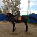 ���������� �����������, ���� ������� ������, 29 ���, ������������ ��� ������, ����� � ���������, c�������� ���������, ���������