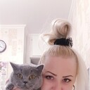 ���������� ����������, ���� ������� ��������, 44 ����, ������������ ��� ������, ����� � ���������, c�������� ���������