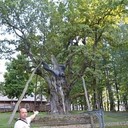 ���������� �����������, ���� ������� ���������, 55 ���, ������������ ��� ������, ����� � ���������, c�������� ���������