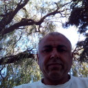  --,   , 49 ,   ,   , c 