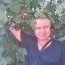  ,   Art, 55 ,   