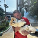 ���������� ������, ���� ������� ���������, 38 ���, ������������ ��� ������, ����� � ���������, c�������� ���������, ���������