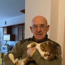 ���������� ������, ���� ������� ��������, 72 ����, ������������ ��� ������, ����� � ���������