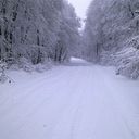 ���������� ����, ���� ������� Kanan, 48 ���, ������������ ��� ������