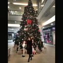  ,   , 33 ,     , c 