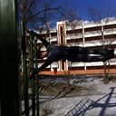 ���������� ������, ���� ������� ������, 35 ���, ������������ ��� ����� � ���������, c�������� ���������