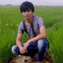 ���������� ������, ���� ������� ����, 31 ���, ������������ ��� ������, ����� � ���������, ���������