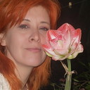  ,   , 49 ,   c 