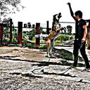  ,   Sherik, 33 ,   ,   , c 