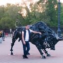 ���������� ������������, ���� ������� ����, 36 ���, ������������ ��� ����� � ���������, c�������� ���������