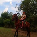 ���������� ������, ���� ������� ����, 46 ���, ������������ ��� ������, ����� � ���������