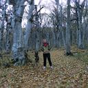  ,   , 52 ,   ,   , c 