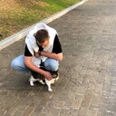  ,   , 22 ,   