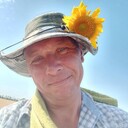 ���������� ���������, ���� ������� ������, 50 ���, ������������ ��� ������, ����� � ���������, ���������