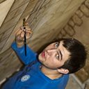 ���������� ������-��-����, ���� ������� �����, 41 ���, ������������ ��� ������, ����� � ���������, c�������� ���������