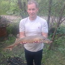  ,   , 56 ,  