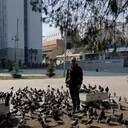 ���������� �����, ���� ������� ��������, 50 ���, ������������ ��� ������, ����� � ���������, c�������� ���������