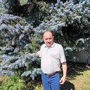  ,   , 60 ,   