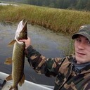  -,   Sprut, 26 ,   ,   , c , 