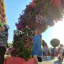 ���������� ������, ���� ������� ��������, 46 ���, ������������ ��� ������, ����� � ���������, c�������� ���������