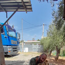 ���������� �����-���������, ���� ������� ��������, 36 ���, ������������ ��� ������, ����� � ���������, c�������� ���������