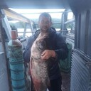 ���������� ���������, ���� ������� ������, 41 ���, ������������ ��� ����� � ���������, c�������� ���������, ���������