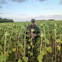 ���������� ���������� �����, ���� ������� ������, 49 ���, ������������ ��� ������, ����� � ���������, c�������� ���������