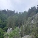 ���������� ��������, ���� ������� ������, 46 ���, ������������ ��� c�������� ���������