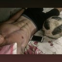  ,   , 26 ,   