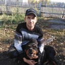 ���������� �����������, ���� ������� �����, 38 ���, ������������ ��� ����� � ���������, c�������� ���������